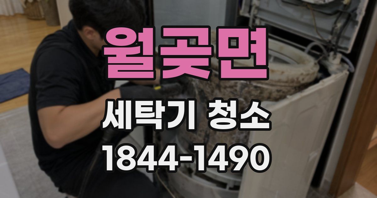 월곶면 세탁기 청소