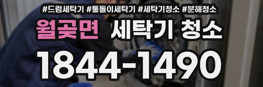 월곶면 세탁기 청소