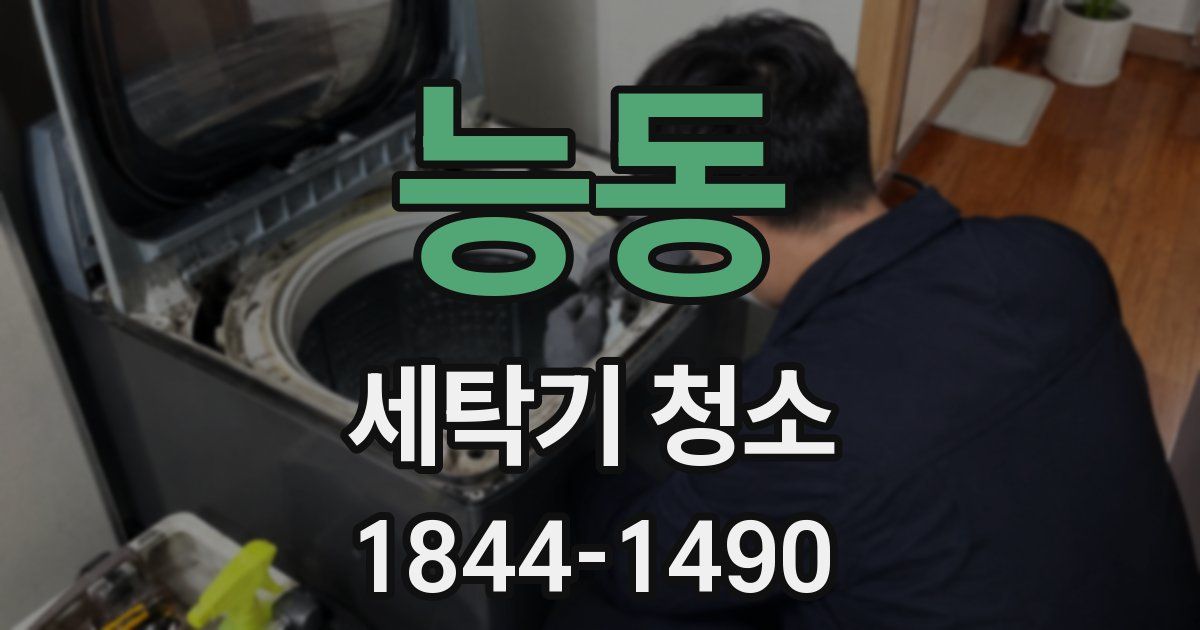 능동 세탁기 청소