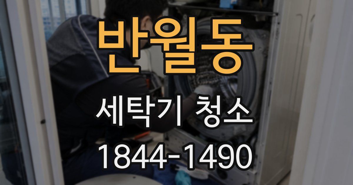 반월동 세탁기 청소