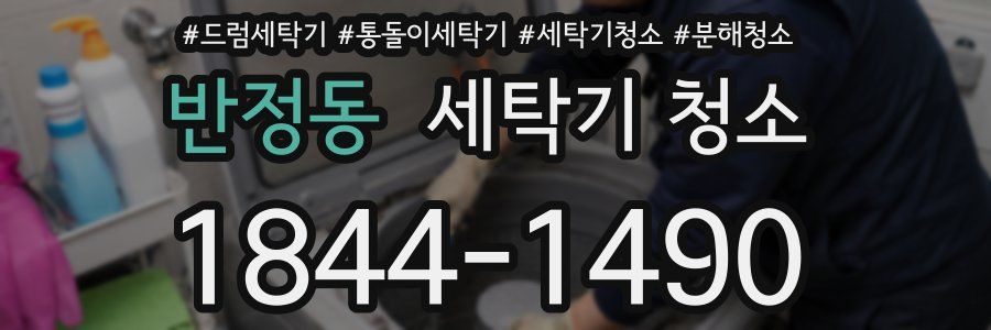반정동 세탁기 청소