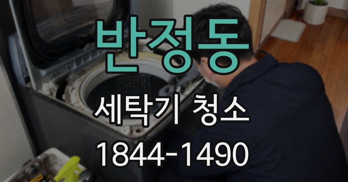 반정동 세탁기 청소