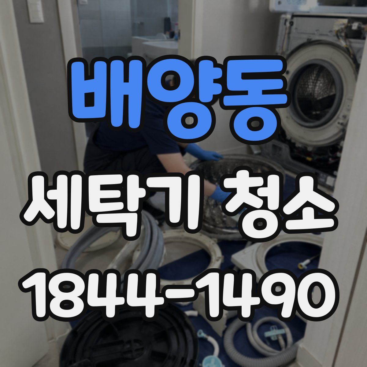 배양동 세탁기 청소