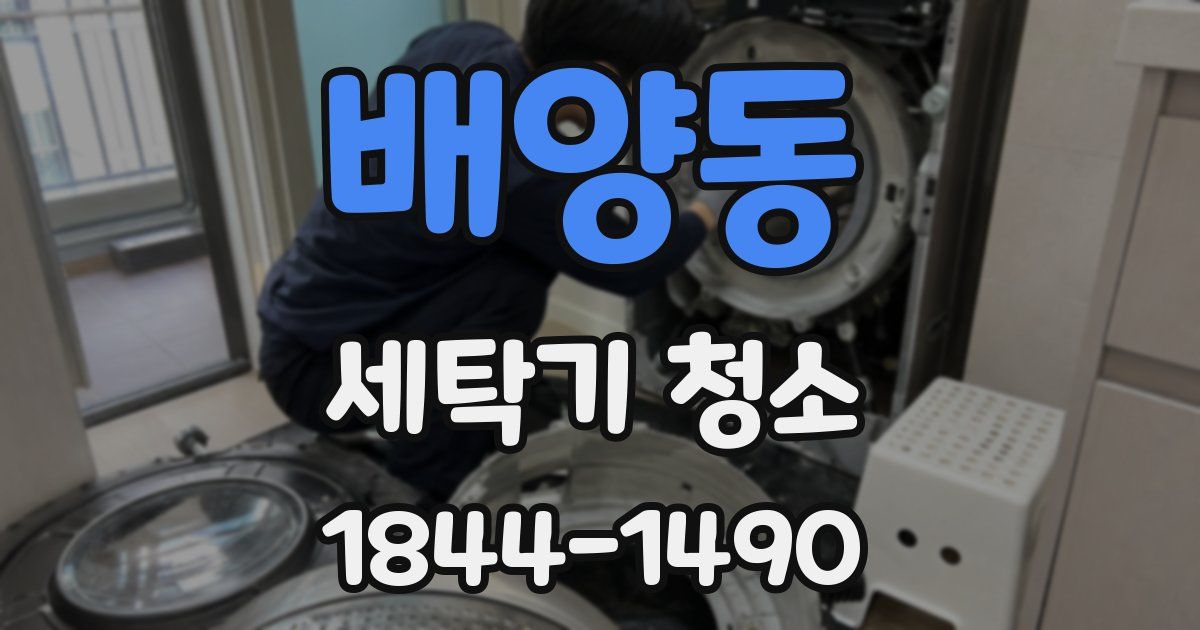 배양동 세탁기 청소