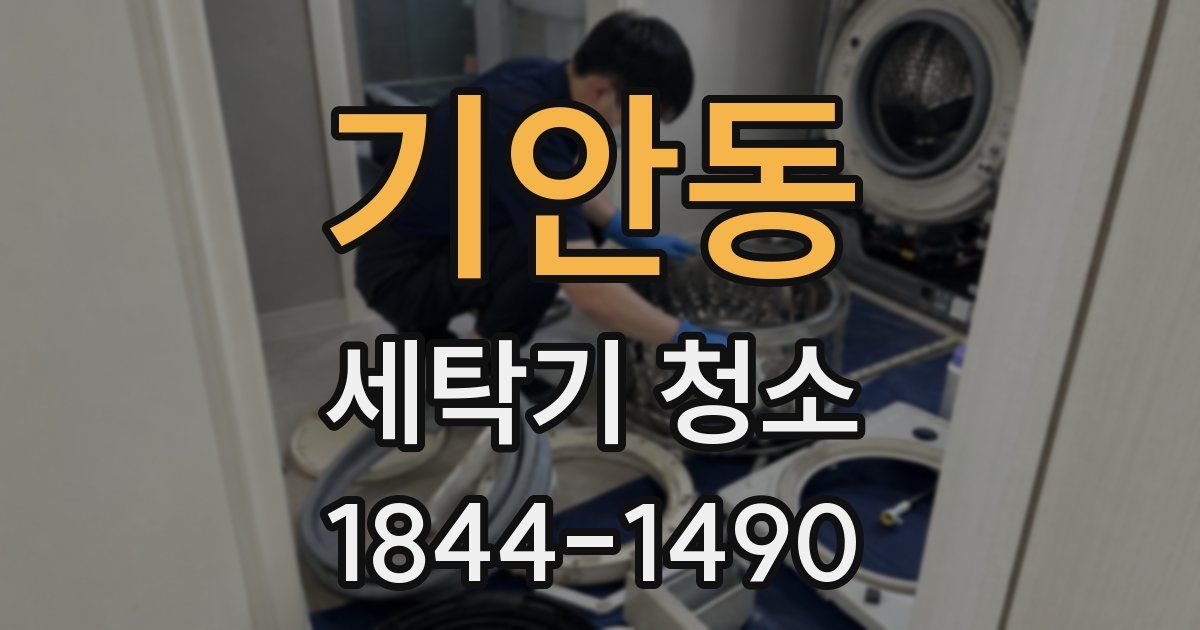 기안동 세탁기 청소