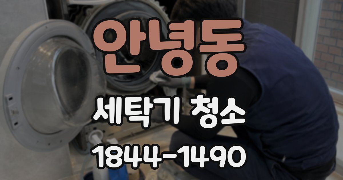 안녕동 세탁기 청소