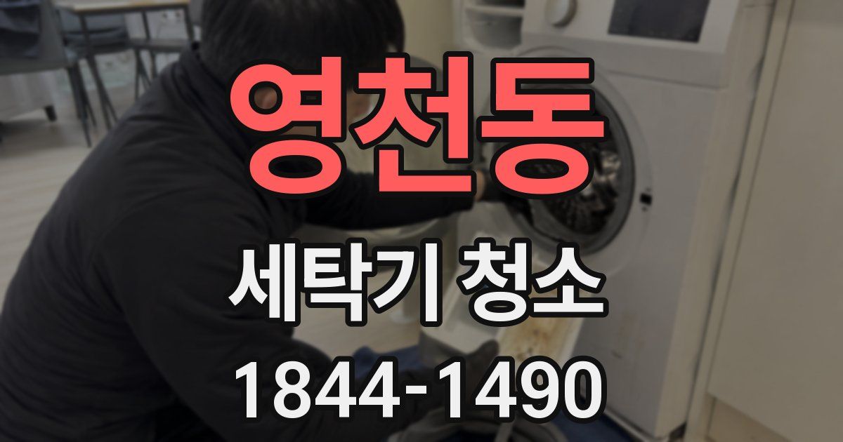 영천동 세탁기 청소