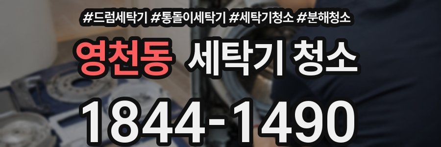 영천동 세탁기 청소