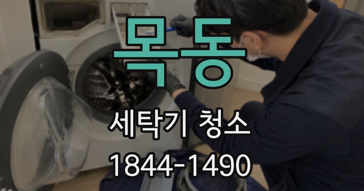 목동 세탁기 청소