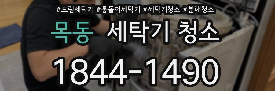 목동 세탁기 청소