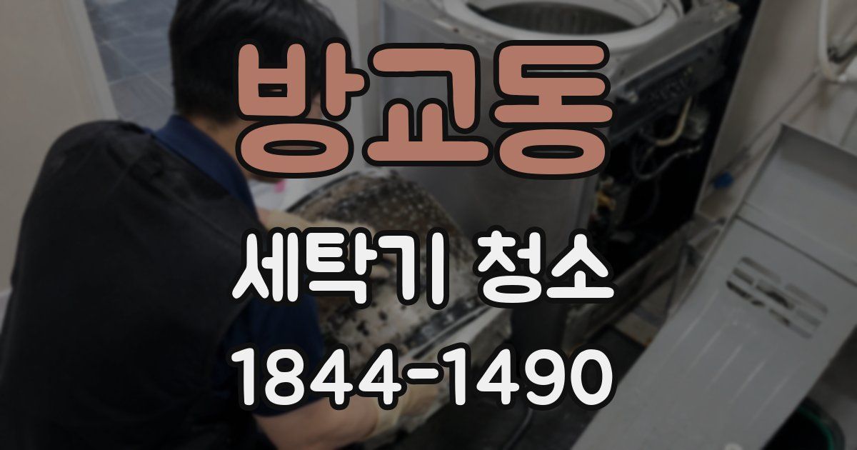 방교동 세탁기 청소