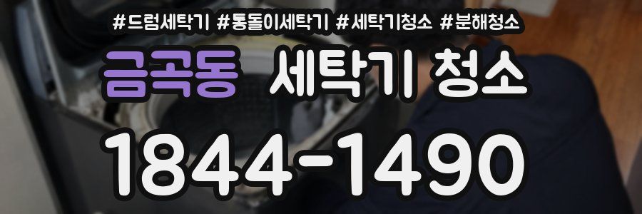 금곡동 세탁기 청소