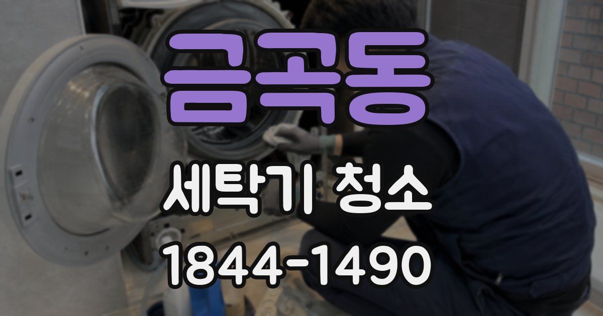 금곡동 세탁기 청소