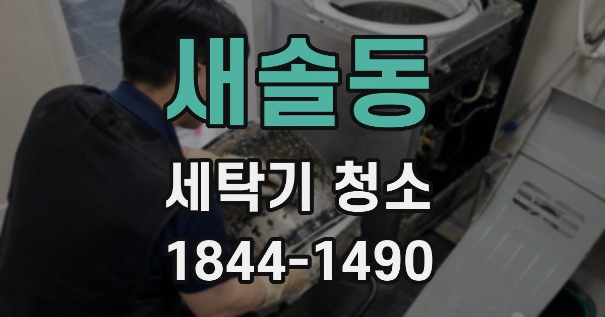 새솔동 세탁기 청소