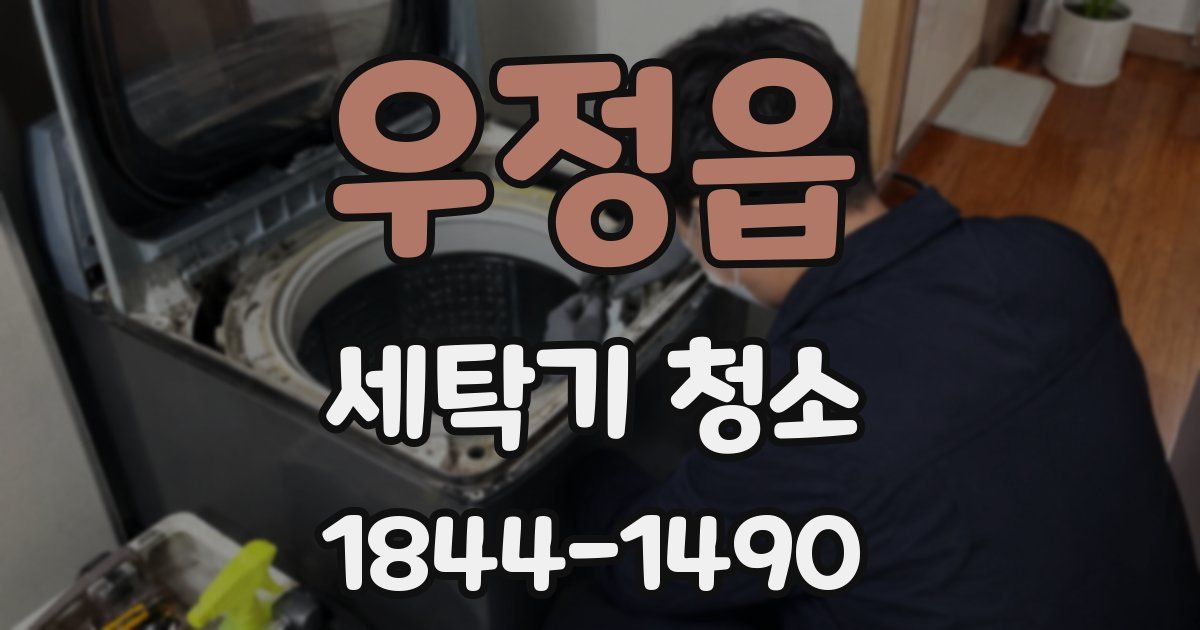 우정읍 세탁기 청소
