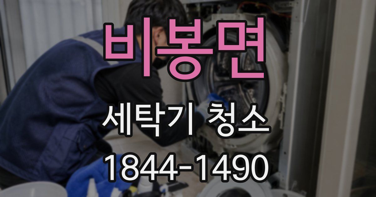 비봉면 세탁기 청소