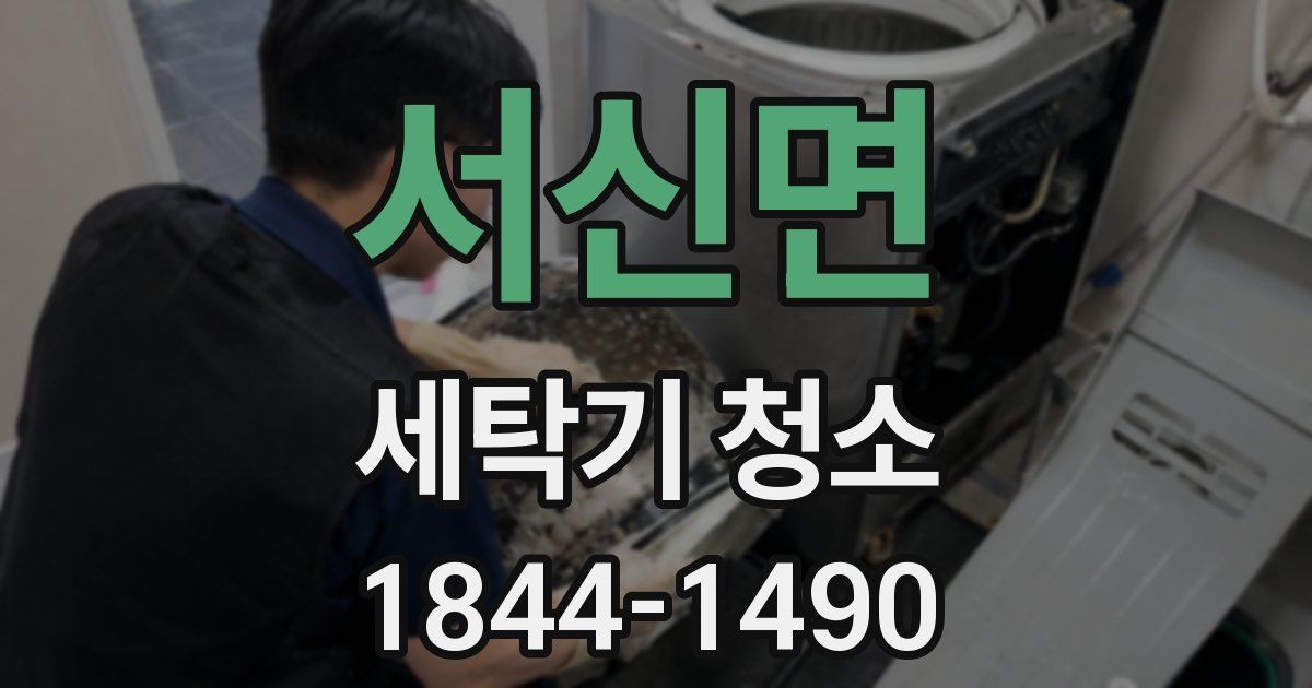 서신면 세탁기 청소