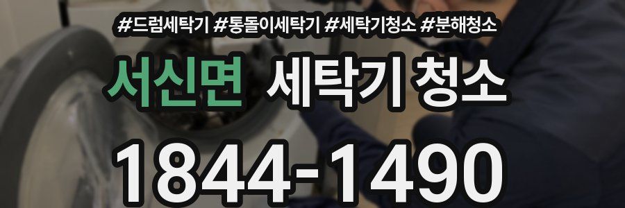 서신면 세탁기 청소