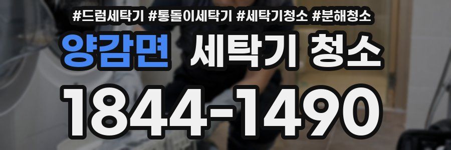 양감면 세탁기 청소