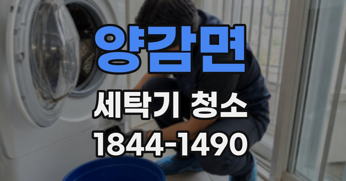 양감면 세탁기 청소