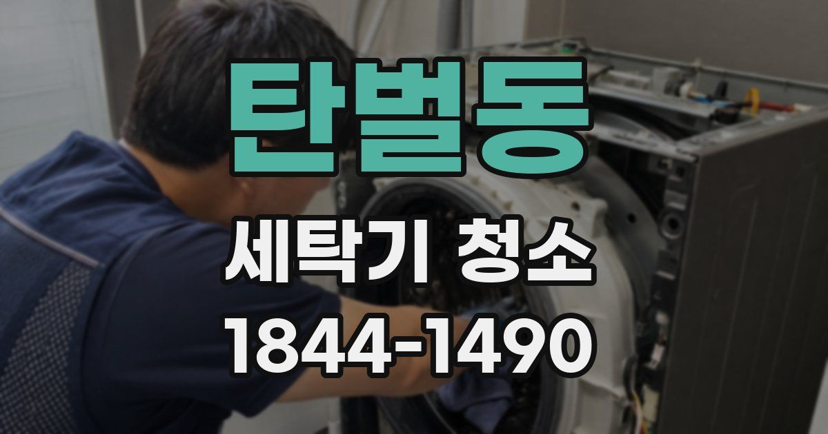 탄벌동 세탁기 청소