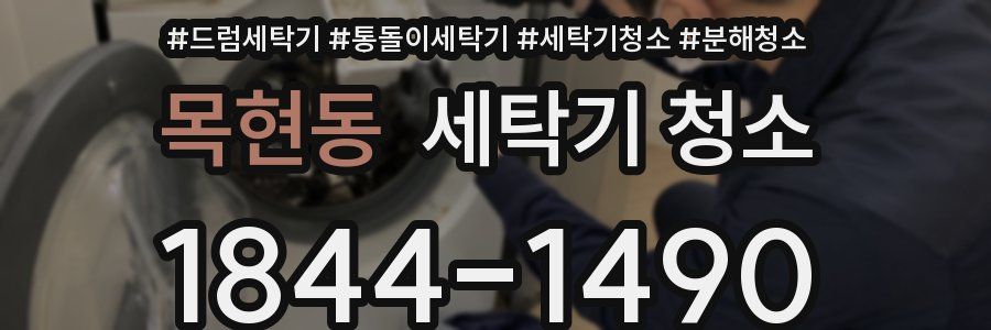 목현동 세탁기 청소
