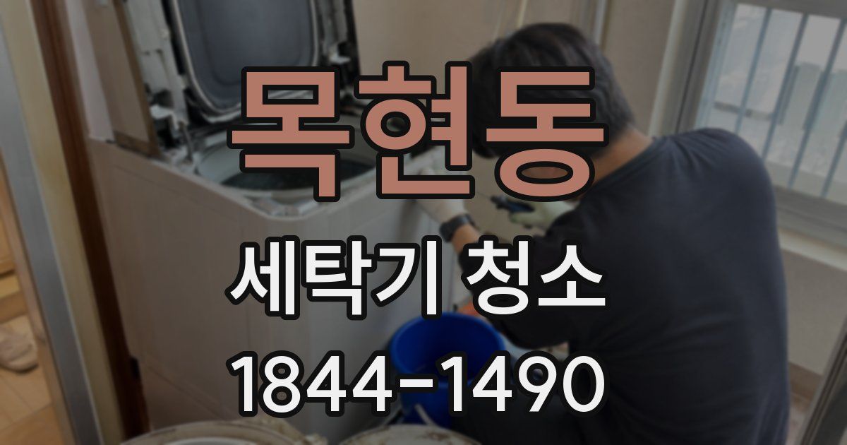 목현동 세탁기 청소