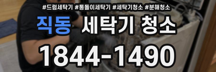 직동 세탁기 청소