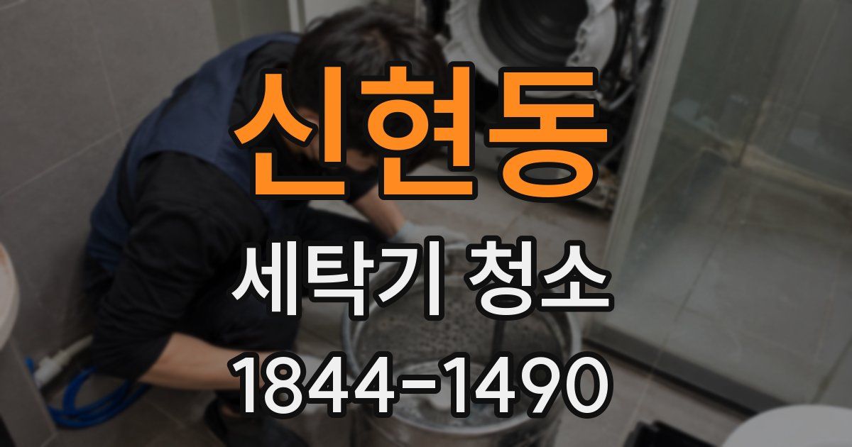 신현동 세탁기 청소