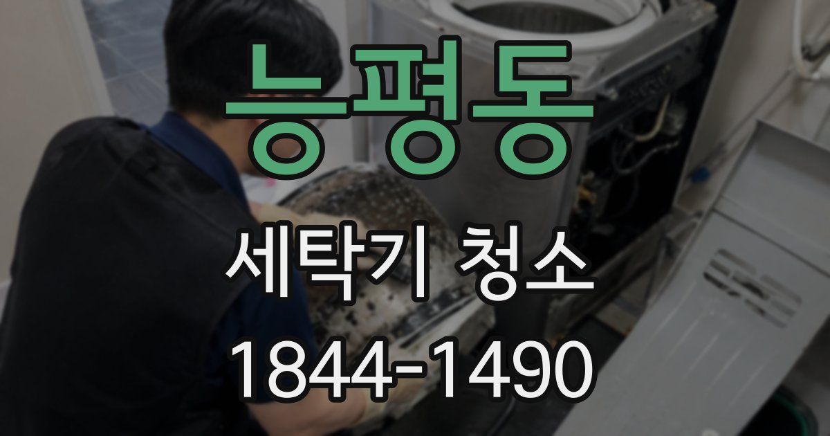 능평동 세탁기 청소