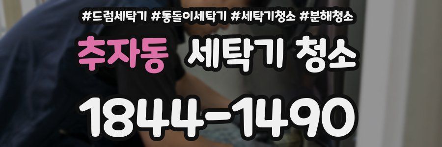 추자동 세탁기 청소