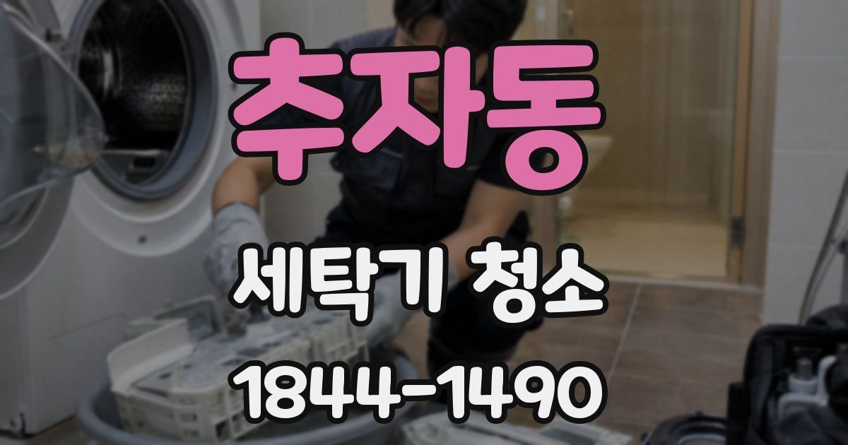 추자동 세탁기 청소