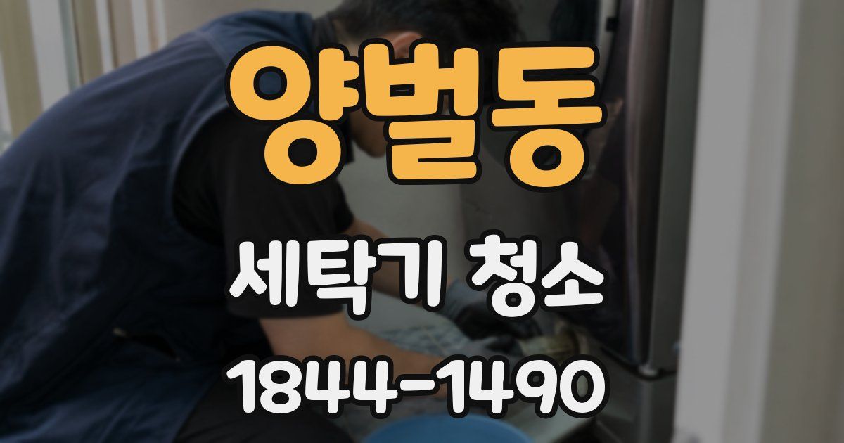 양벌동 세탁기 청소