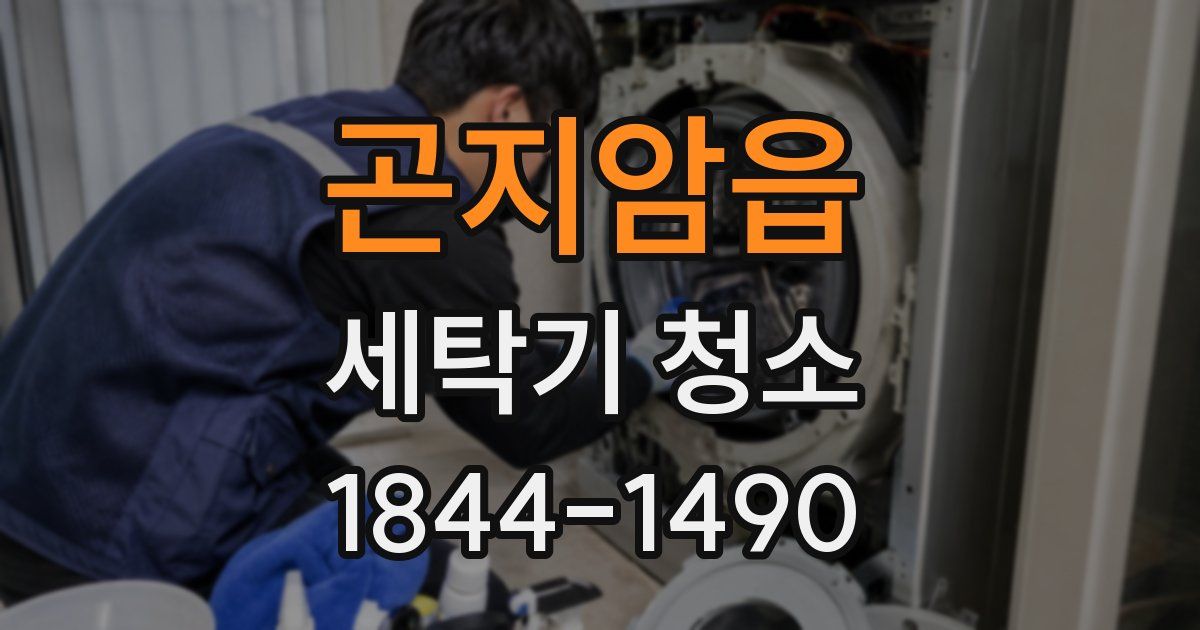 곤지암읍 세탁기 청소