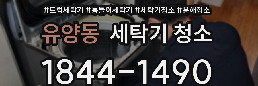 유양동 세탁기 청소