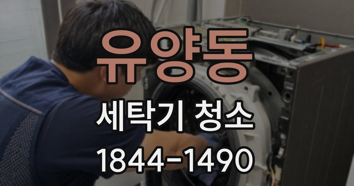 유양동 세탁기 청소