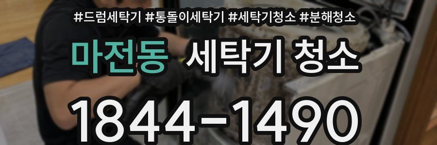 마전동 세탁기 청소