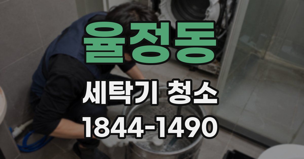 율정동 세탁기 청소