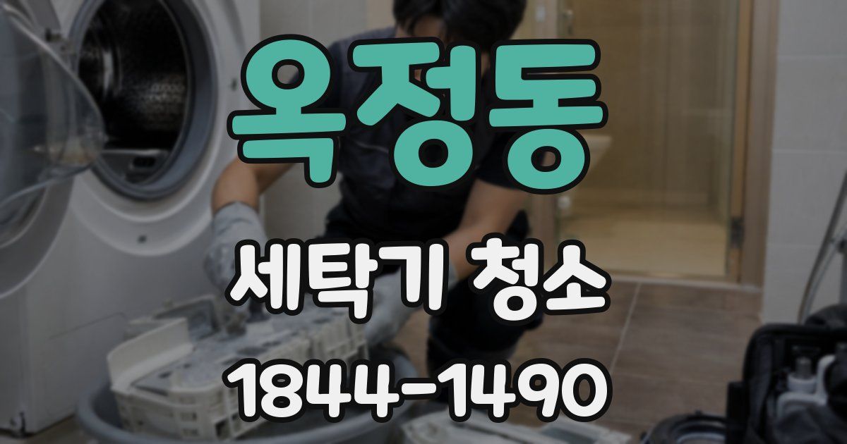 옥정동 세탁기 청소