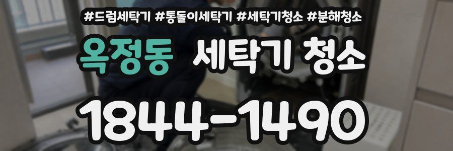 옥정동 세탁기 청소