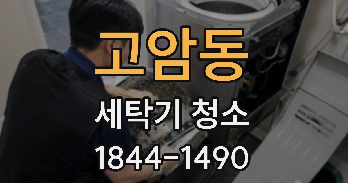 고암동 세탁기 청소
