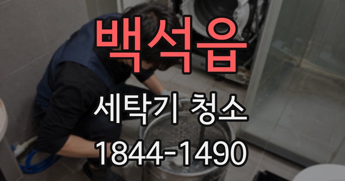 백석읍 세탁기 청소