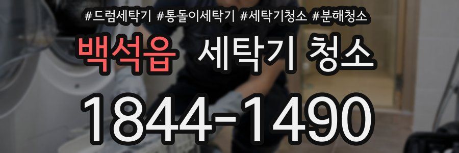 백석읍 세탁기 청소