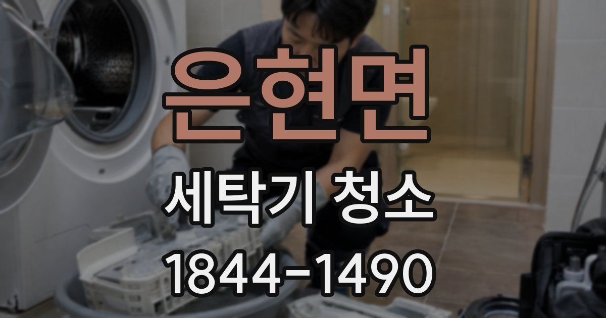 은현면 세탁기 청소