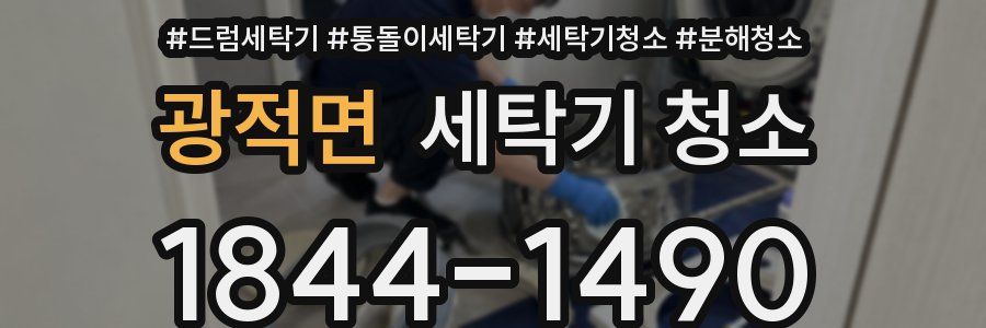 광적면 세탁기 청소
