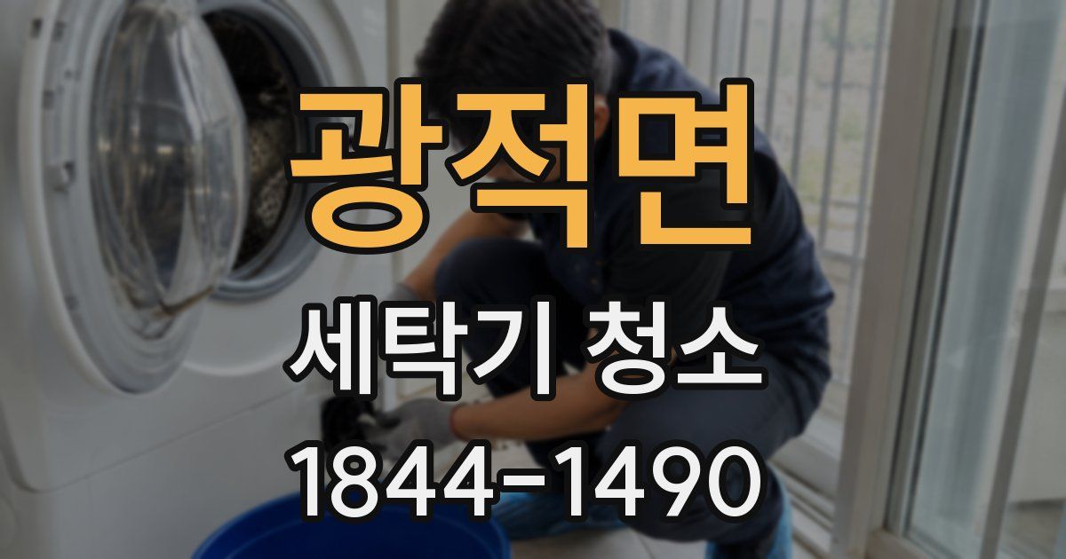 광적면 세탁기 청소