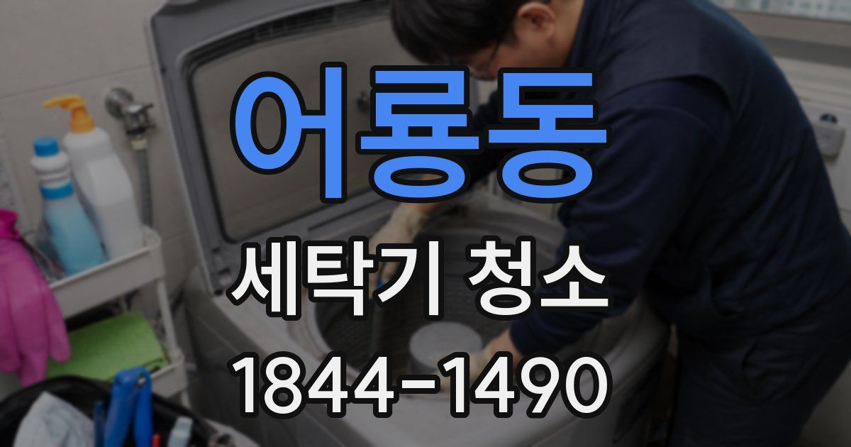 어룡동 세탁기 청소