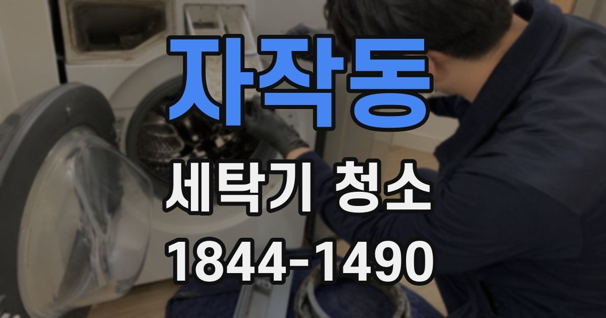 자작동 세탁기 청소