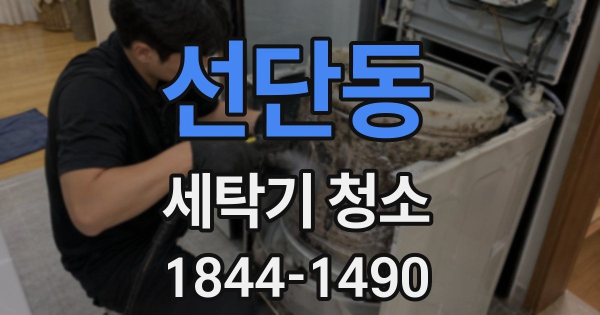 선단동 세탁기 청소