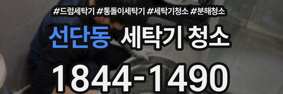 선단동 세탁기 청소